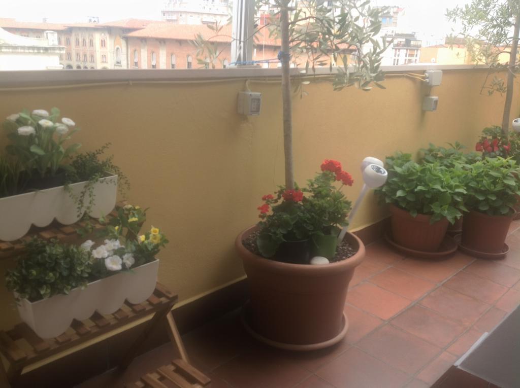 B&B Dei Cavalieri 피사 외부 사진